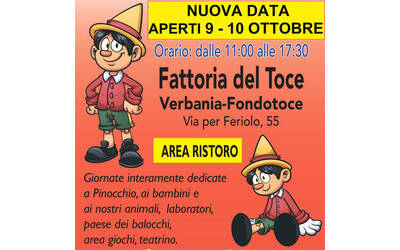 Immagine: pinocchio in fattoria 9 10
