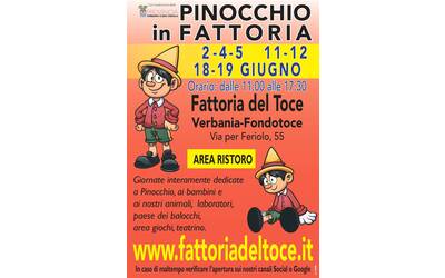 Immagine: Pinocchio in fattoria giugno 22