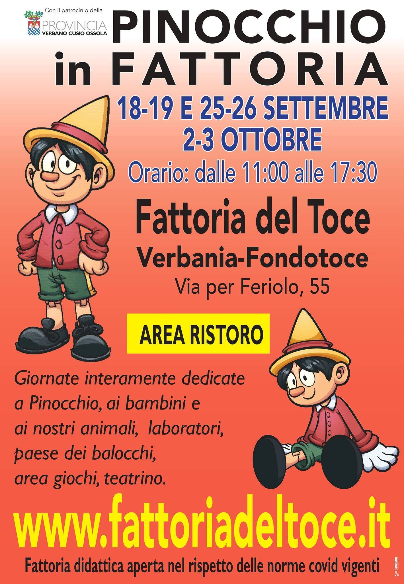 Immagine: pinocchio in fattoria