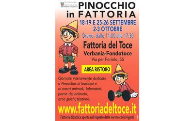 Immagine: pinocchio in fattoria