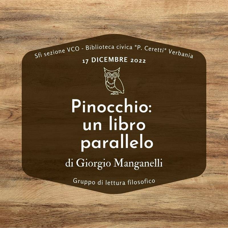 Immagine: Pinocchio un libro parallelo
