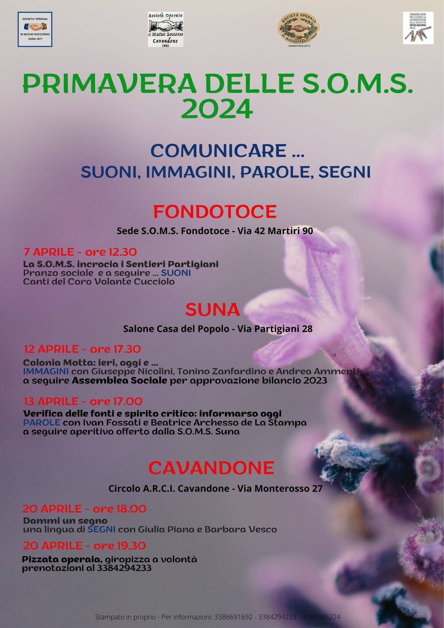 Immagine: Primavera delle SOMS 2024