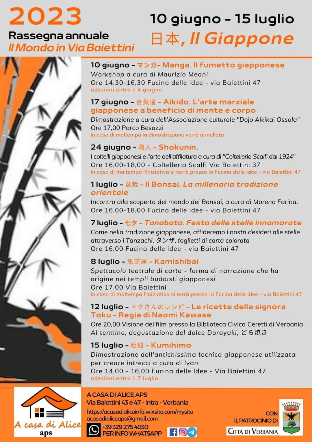 Immagine: programma Jap italiano