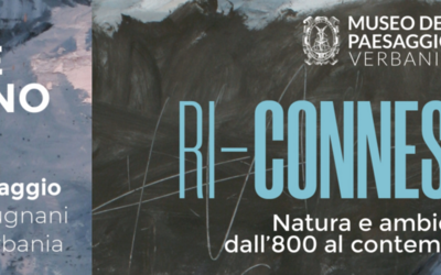 Immagine: ri-connessioni 3000 X 960
