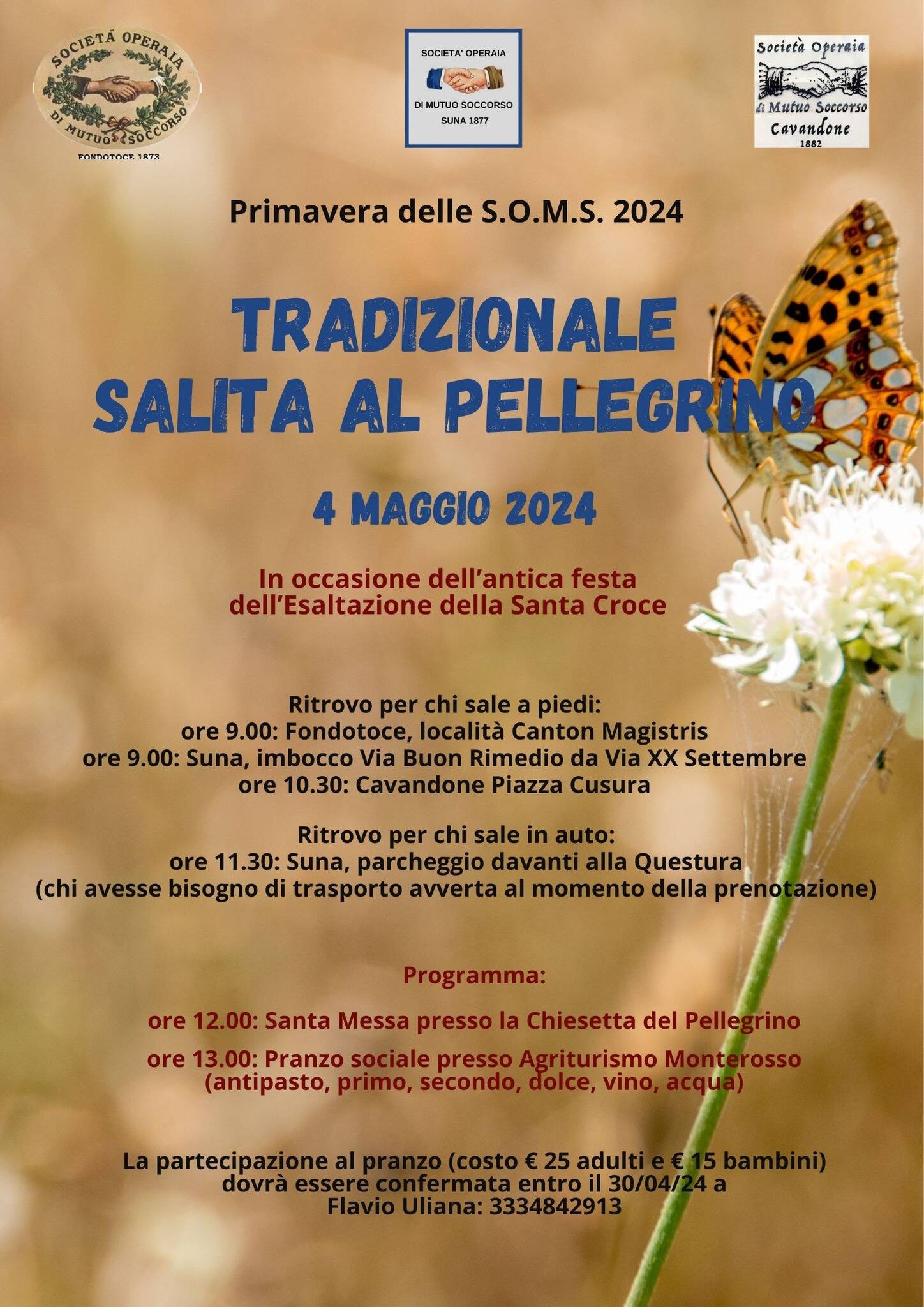 Immagine: Salita al Pellegrino 2024