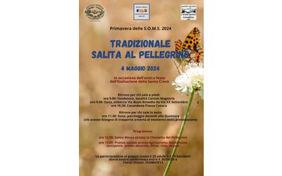 Immagine: Salita al Pellegrino 2024