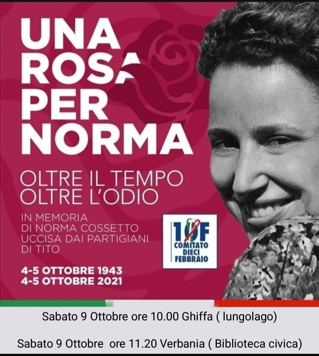 Immagine: una rosa per Norma 1