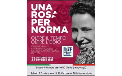 Immagine: una rosa per Norma 1