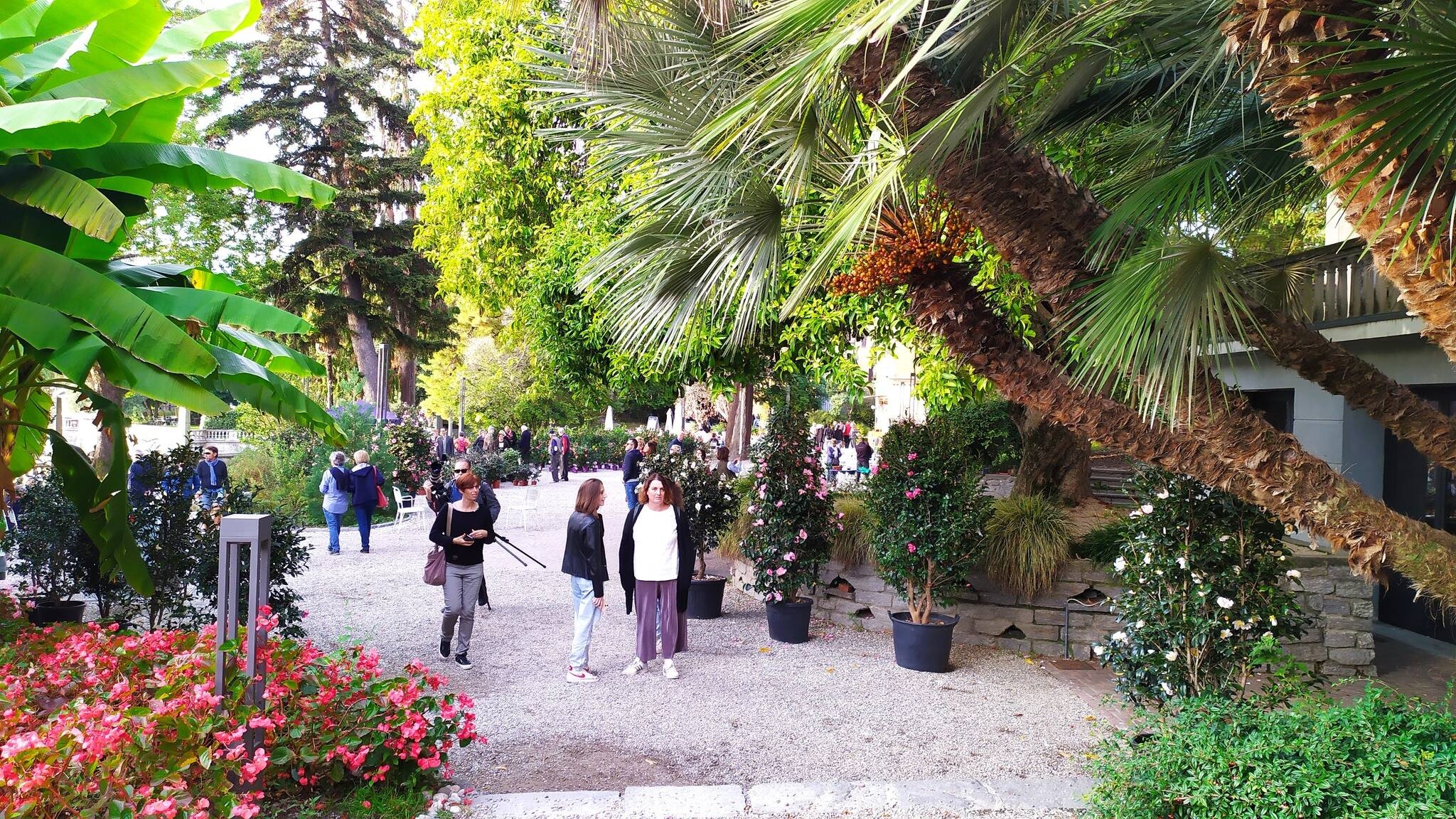Immagine: villa giulia pubblico