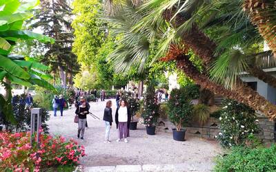 Immagine: villa giulia pubblico