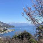 Immagine: VILLA T 22