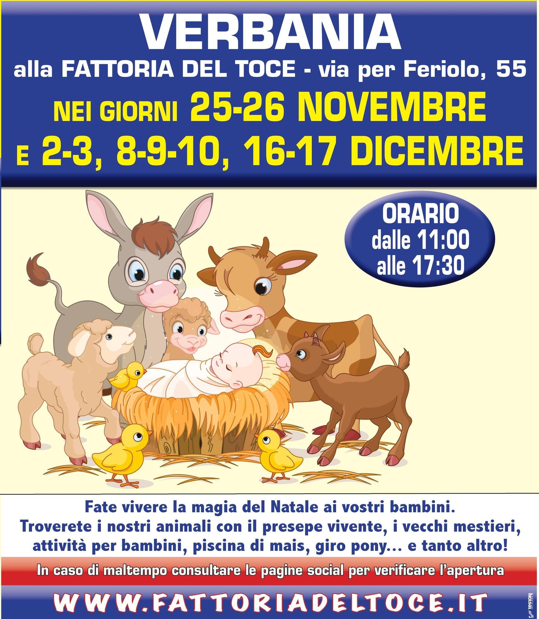Immagine: Villaggio di Natale in fattoria 2023