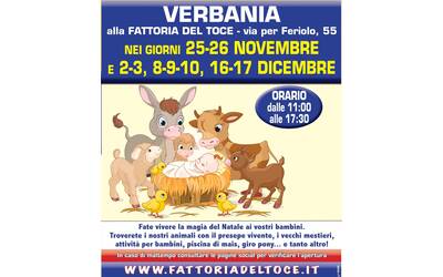 Immagine: Villaggio di Natale in fattoria 2023