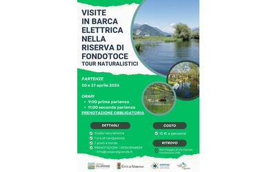 Immagine: Visite naturalistica in barca elettrica
