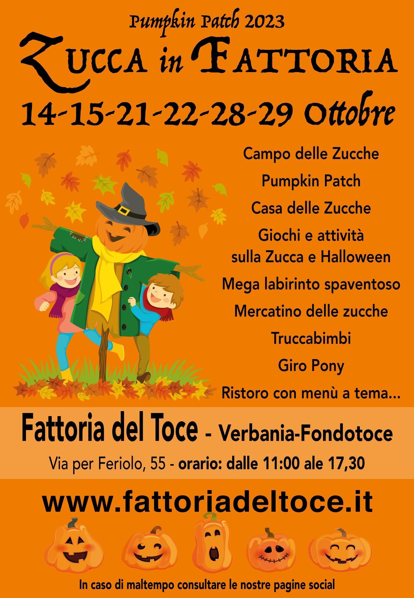 Immagine: Zucca in Fattoria