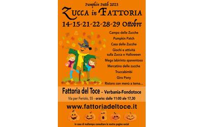 Immagine: Zucca in Fattoria