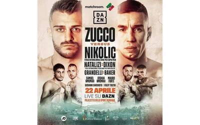 Immagine: zucco boxe