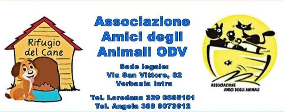 Immagine: amici degli animali