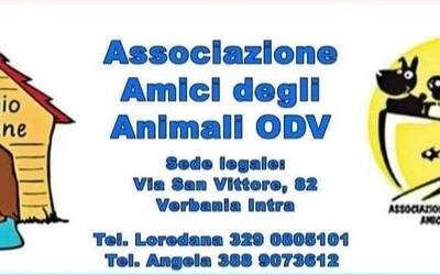 Immagine: amici degli animali