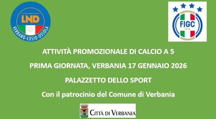 Attività promozionale di Calcio a 5  categorie Pulcini e Primi calci