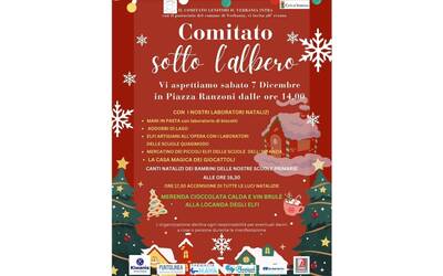 Immagine: Comitato sotto l'albero