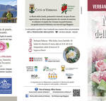 Depliant Camelia Primaverile 2026 1