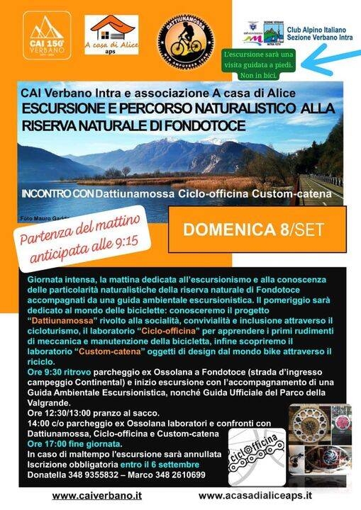 Immagine: Escursione e percorso naturalistico alla Riserva Naturale di Fondotoce