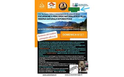 Immagine: Escursione e percorso naturalistico alla Riserva Naturale di Fondotoce