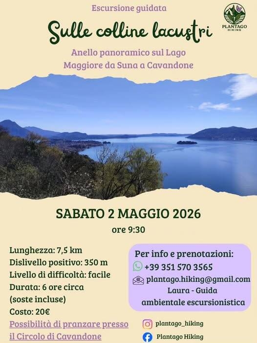 Immagine: Escursione guidata: Sulle colline lacustri