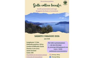 Immagine: Escursione guidata: Sulle colline lacustri