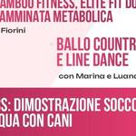 Immagine: Giro d'Italia