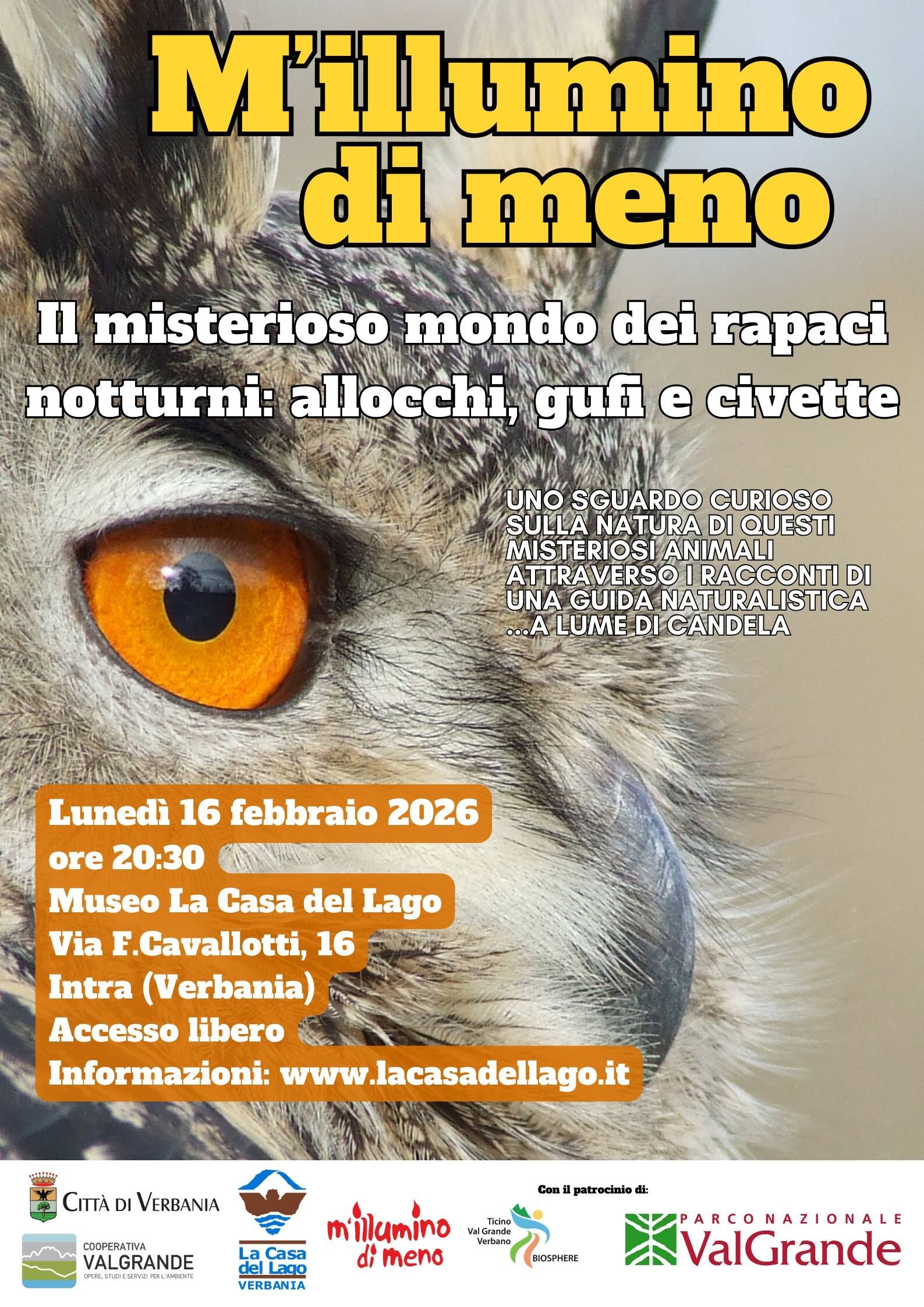 Il misterioso mondo dei rapaci notturni