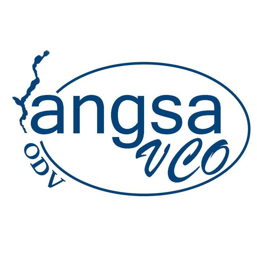 Logo Angsa VCO