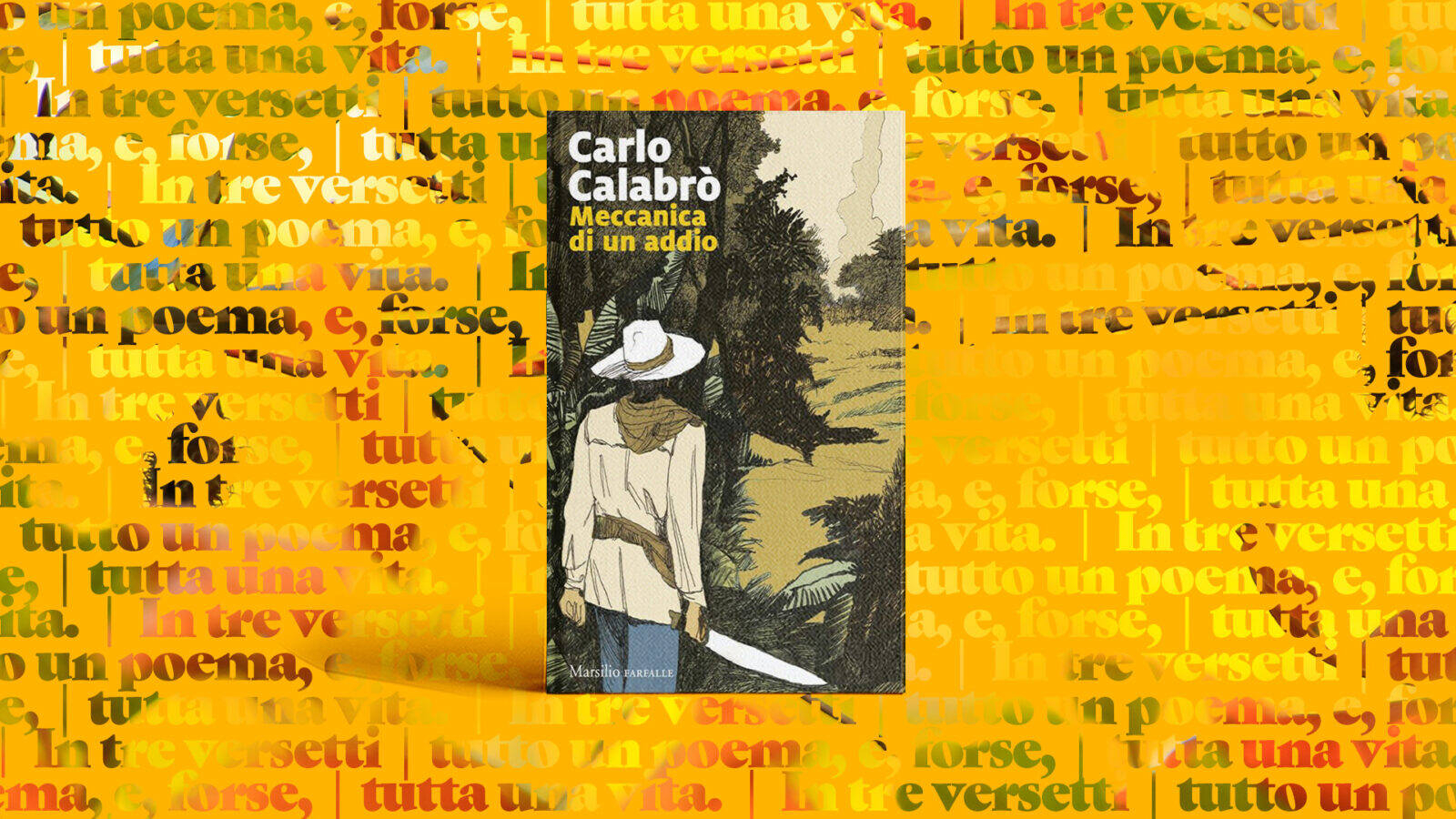Immagine: Meccanica di un addio