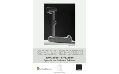 Mostra: Carlo Manini