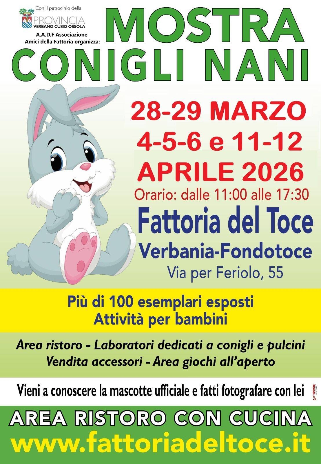 Mostra conigli nani