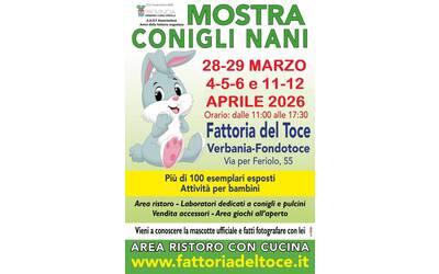 Mostra conigli nani