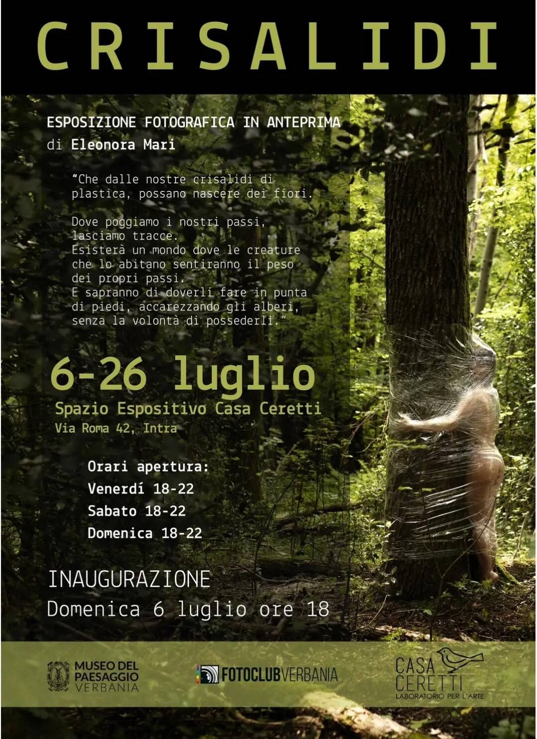 Immagine: Mostra: Crisalidi