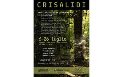 Immagine: Mostra: Crisalidi