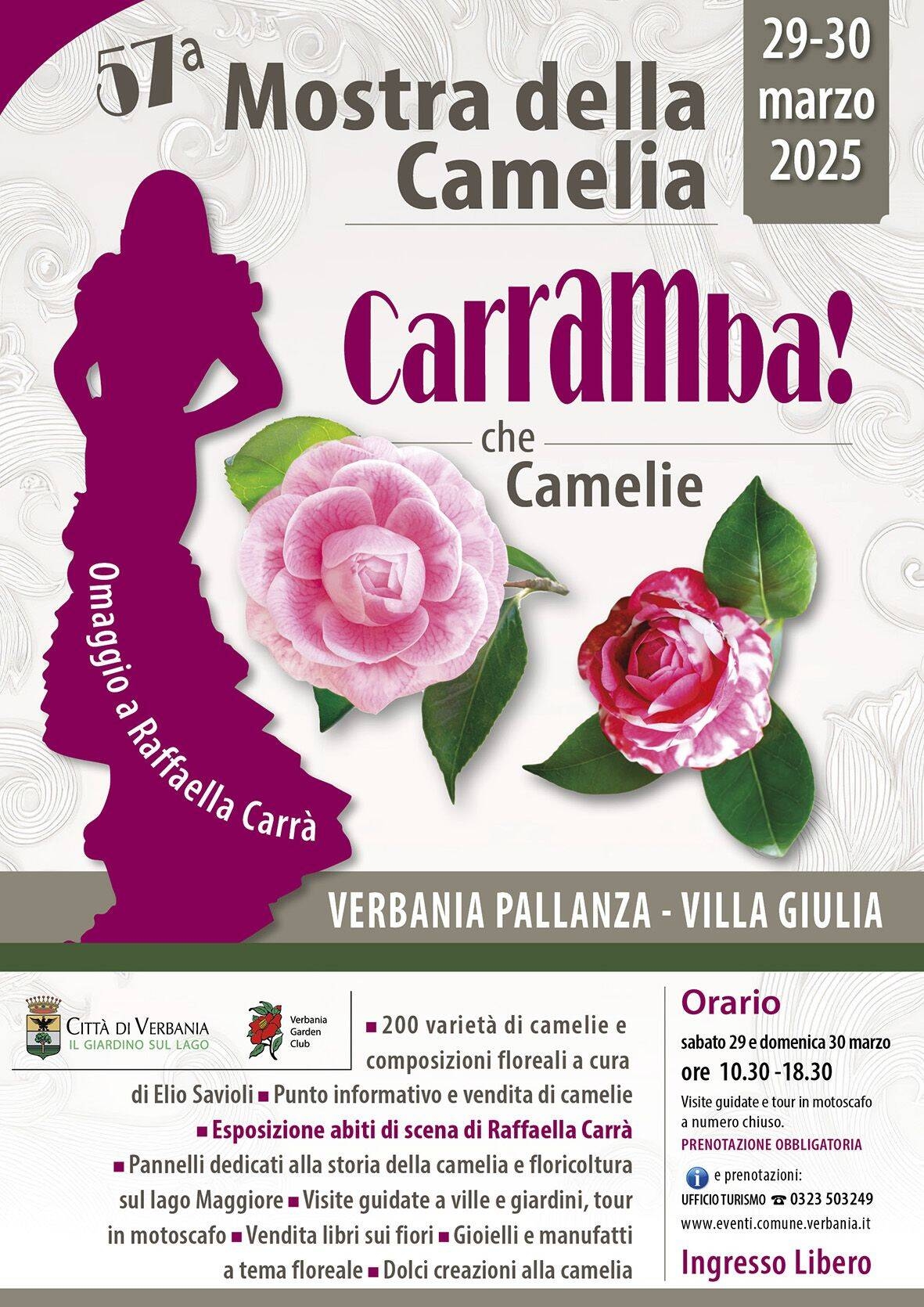 Immagine: mostra della camelia 2025