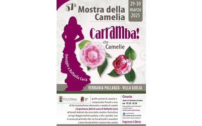 Immagine: mostra della camelia 2025