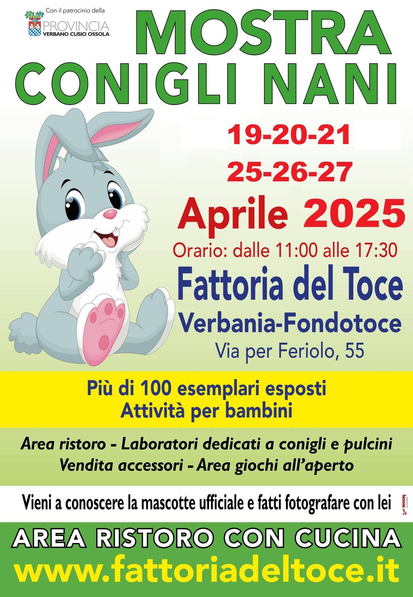 Mostra di Conigli Nani