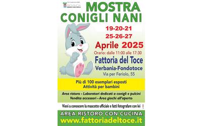 Mostra di Conigli Nani