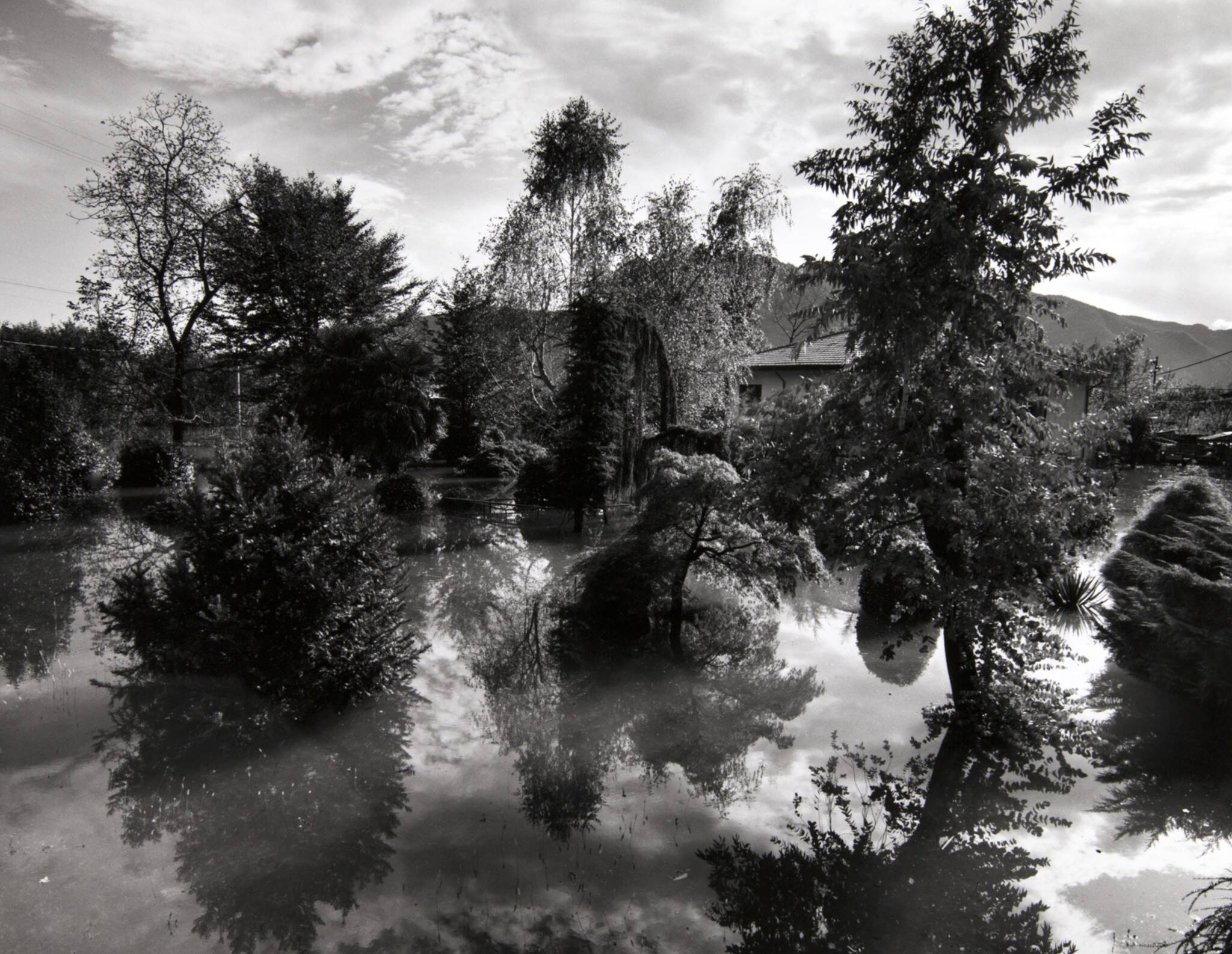  Mostra: Nature, La fotografia di Fulvio Ventura