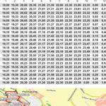 Immagine: NAVETTA CAPODANNO