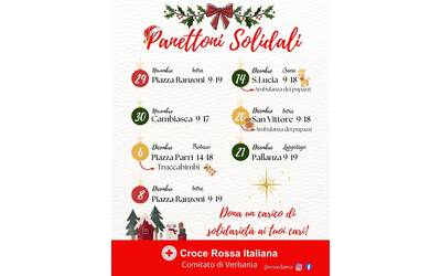 Immagine: PANETTONI SOLIDALI 2025