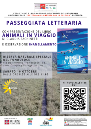 Immagine: PASSEGGIATA LETTERARIA