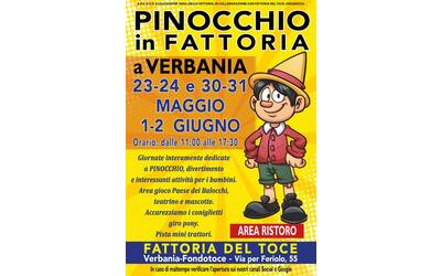 Immagine: PINOCCHIO IN FATTORIA 