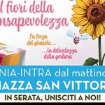 Raccolta Fondi Progetto Endometriosi