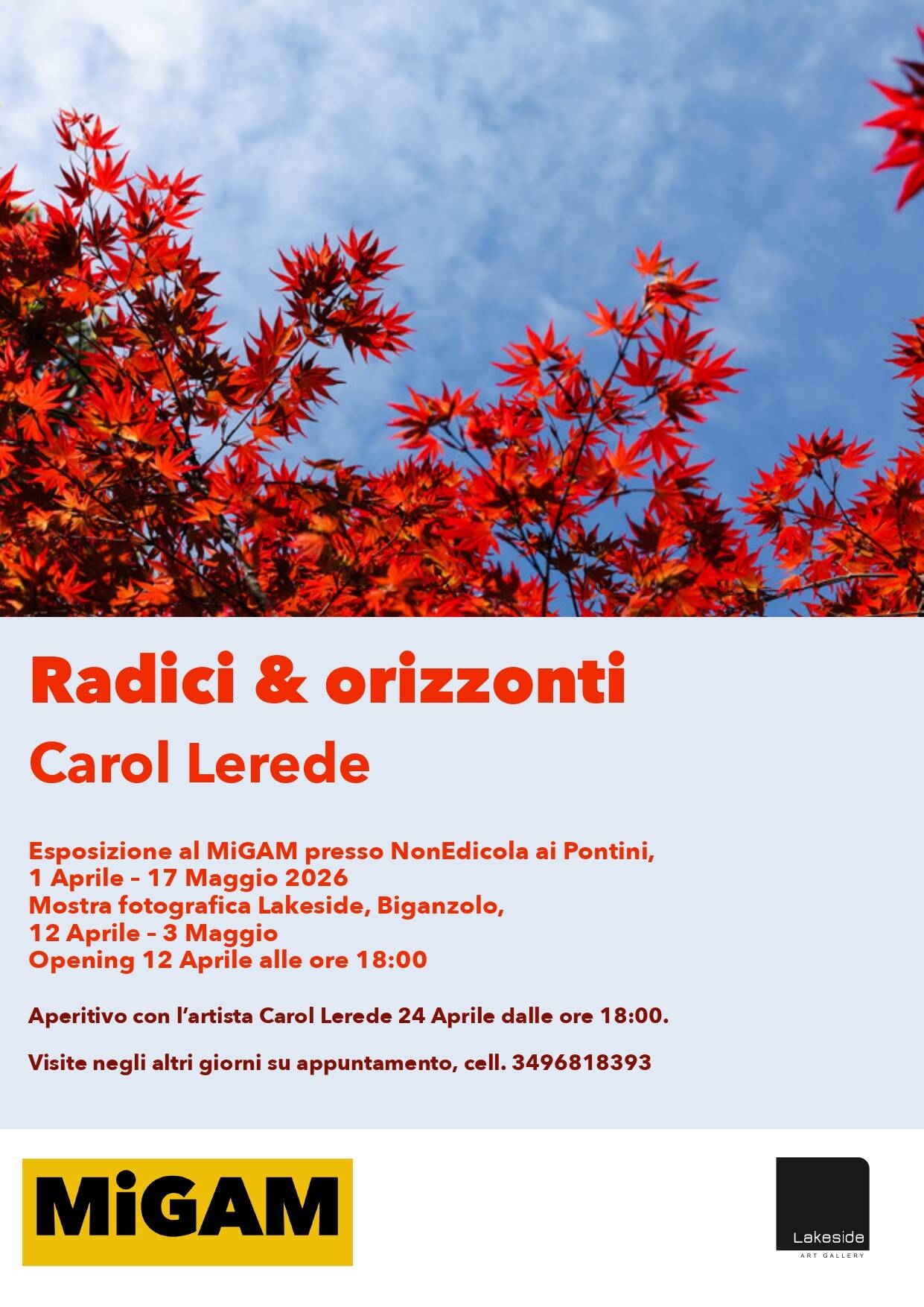 Immagine: Radici & orizzonti Carol Lerede